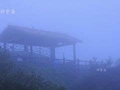 -大姆山草场