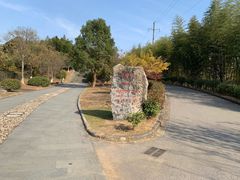 -金钉子远古世界景区
