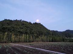 -贵阳市花溪国家城市湿地公园