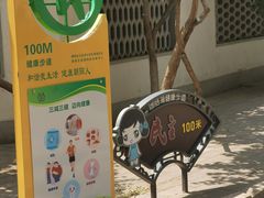 -团结湖公园