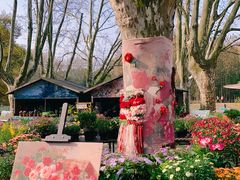 -上海共青森林公园