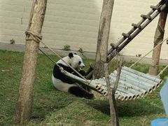 -石家庄市动物园