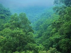 -广州白江湖森林公园