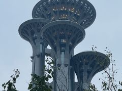 -北派修脚·采耳(上地信息路店)