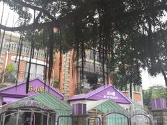 -苏小糖(鼓浪屿三丘田花园店)