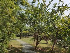 -中国移动南方基地