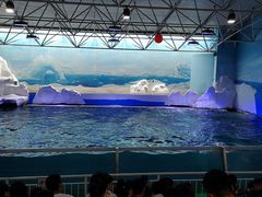 -秦皇岛乐岛海洋王国