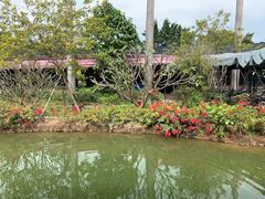 景观位-花溪雨·森林餐厅(石基店)