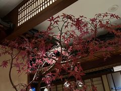 -揽季锅物会.福建黄鱼.海鲜姿造(五四路店)