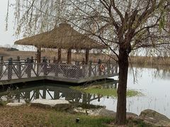 -苏州湾王焰温泉度假酒店
