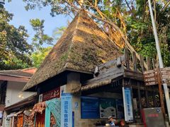 -海南分界洲岛旅游区