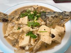 -煲来饱去冷水鱼