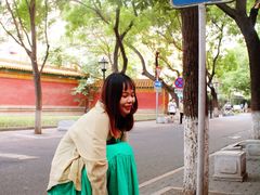 -北京国子监胡同