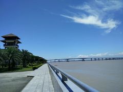 -大湾区中央湿地公园