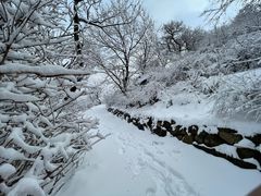 -香山公园