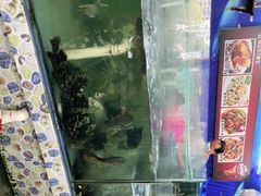 -明记海鲜大排档(巽寮湾店)