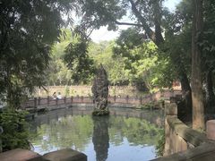 -房湖公园