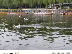 -西安汉城湖景区