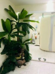 -健身堂科技美肌SPA