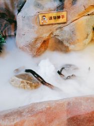 点击看大图 -奇幻萌宠部落(映月湖环宇城店)
