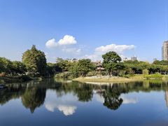 -四海公园(南山区)