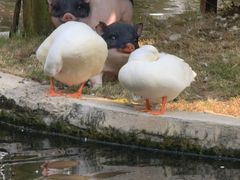 -顺德渔村·岭南一号