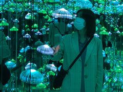 -杭州西湖星空魔幻城(星空艺术馆品牌旗舰店)