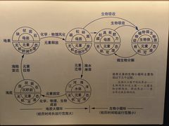 -中国农业博物馆