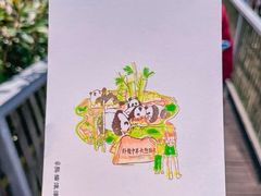 -卧龙中华大熊猫苑神树坪基地