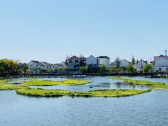 -金山嘴渔村