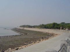 -宝安西湾红树林湿地公园