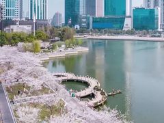 -西北湖绿化广场