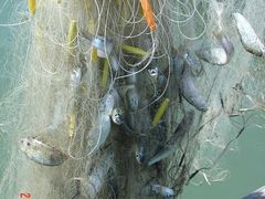 -坝光海滩
