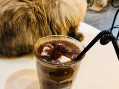 -共舞时光猫咖·狗咖(新街口店)