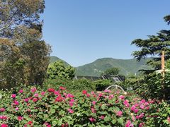 -国家植物园南园