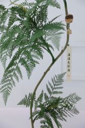 -臣丽纹眉品牌连锁