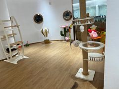 -1013 PET SHOP精品宠物商店(丁香店)