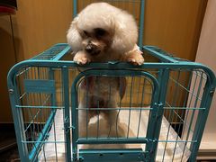 -海底捞火锅(中商百货店)