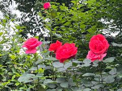 -浙江西子宾馆·瑶园咖啡厅