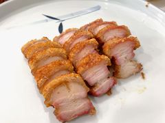 脆皮烧肉-寻味顺德·南记酒家·传统顺德菜·鱼生(广源路店)