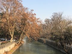 景观位-粗茶淡饭(东关街店)