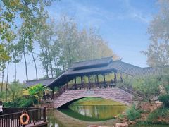 -合肥滨湖国家森林公园