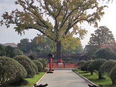 -张謇纪念馆