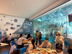 -帝企鹅自助餐厅•儿童岛•真企鹅(长隆企鹅酒店)