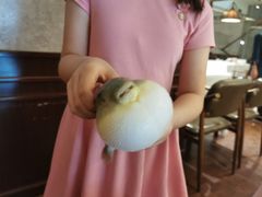 -肆月河豚·新淮扬(金融街店)