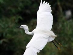 -李小龙乐园(顺德均安店)