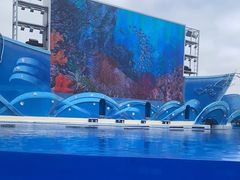 -上海海昌海洋公园