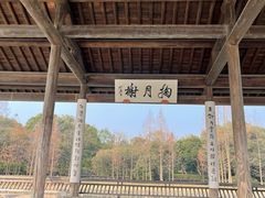 -渤公岛生态公园