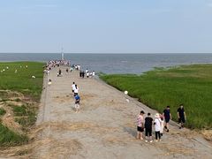 -南汇嘴观海公园