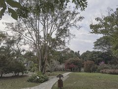 -中国科学院西双版纳热带植物园